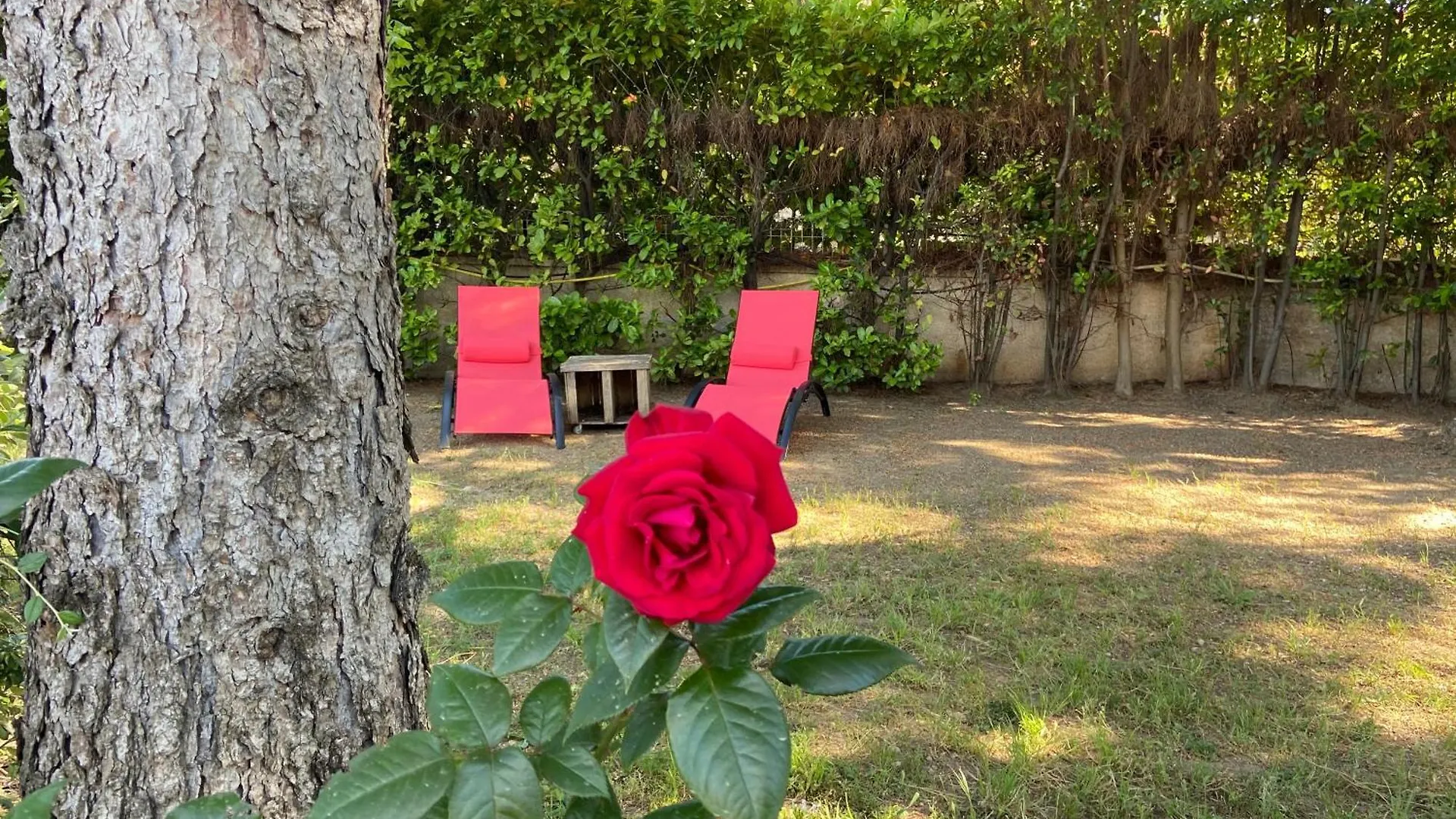 La Roseraie Bonnieux Francie